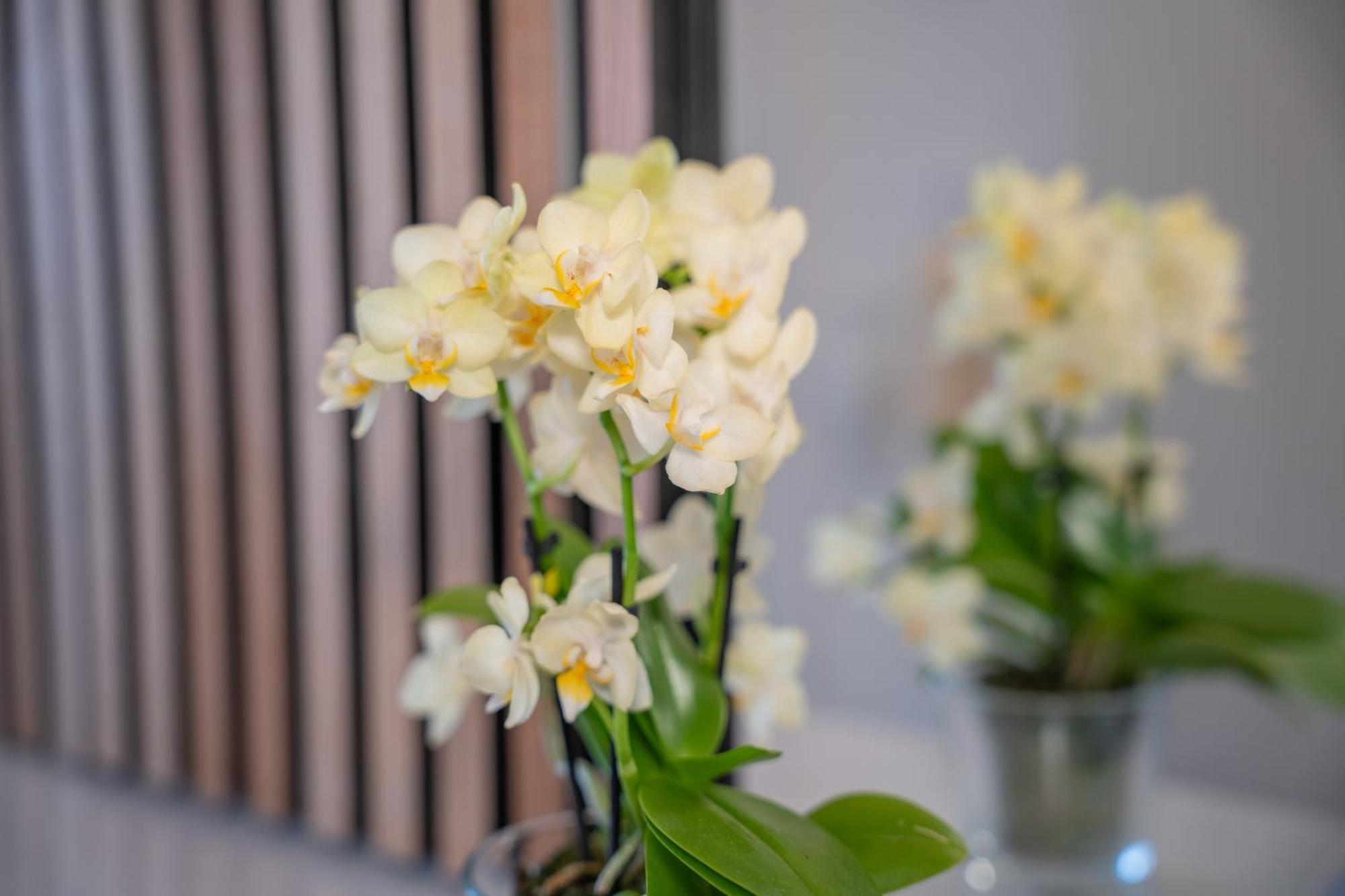 Tanic Loft Main Station Apartment *